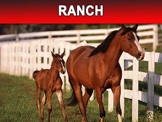 Ranch Picture