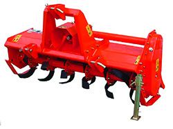 SIB100